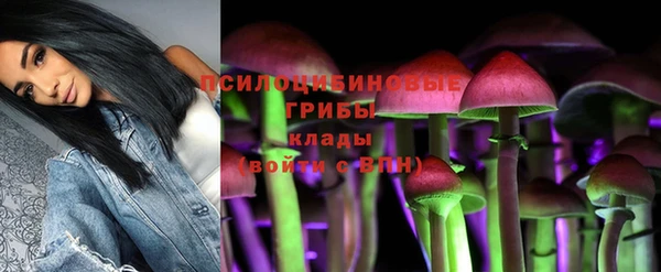 кокс Абдулино