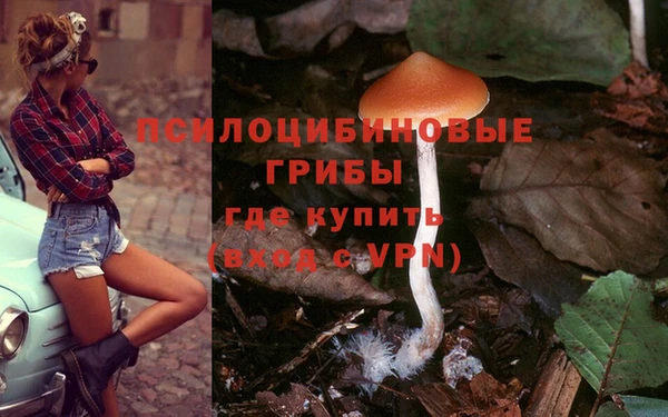 дурь Покров