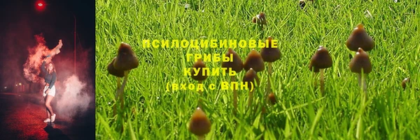 соль ск Покровск