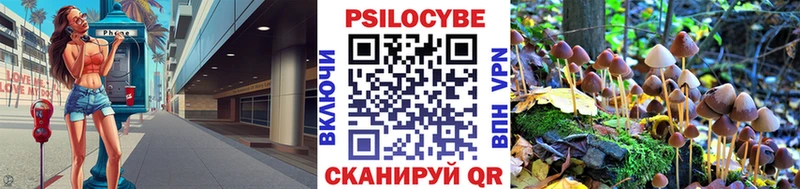 Псилоцибиновые грибы мицелий где купить наркоту Армянск