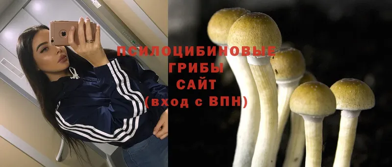 Псилоцибиновые грибы MAGIC MUSHROOMS  Армянск 