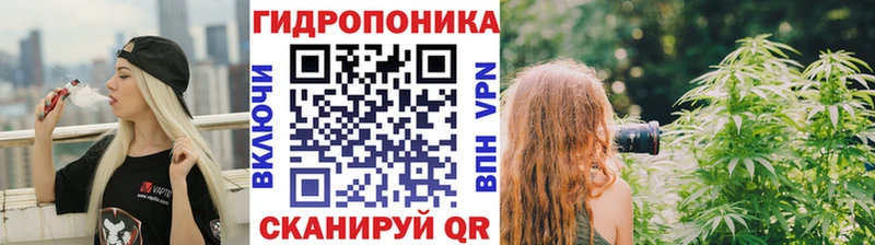 Бошки Шишки Amnesia Армянск